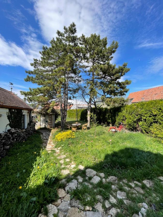 Gartenapartment Storchenblick Weiden am See Exterior photo